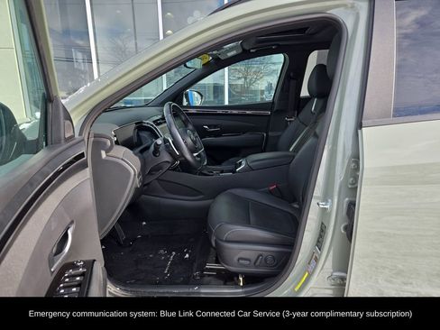 Used 2022 Hyundai Santa Cruz Limited image 14