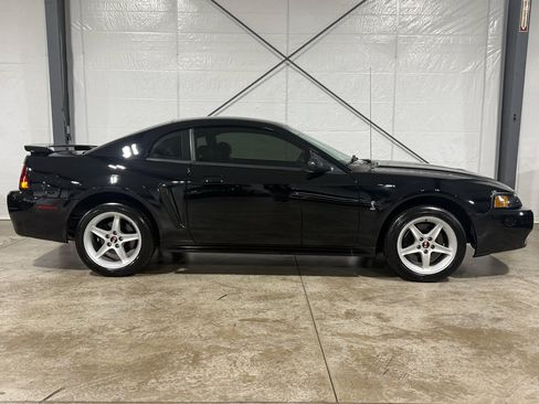 Used 2001 Ford Mustang Cobra image 6