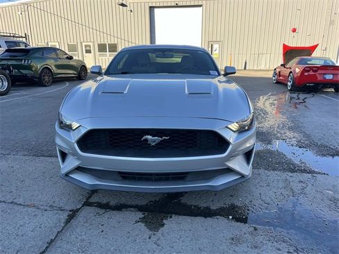 Used 2018 Ford Mustang Coupe w/ Equipment Group 101A image 8
