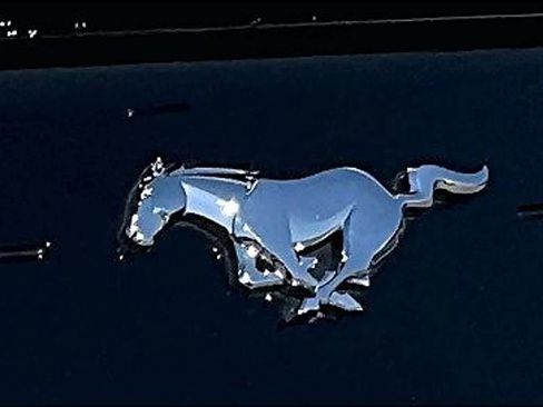 Used 2020 Ford Mustang Coupe w/ Equipment Group 101A image 28