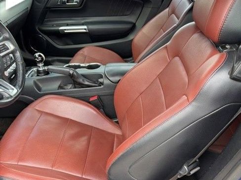 Used 2016 Ford Mustang GT Premium w/ Equipment Group 401A RWD image 5