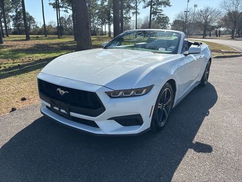 Used 2024 Ford Mustang Premium image 7