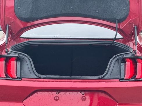 Used 2021 Ford Mustang GT w/ GT Performance Package image 30