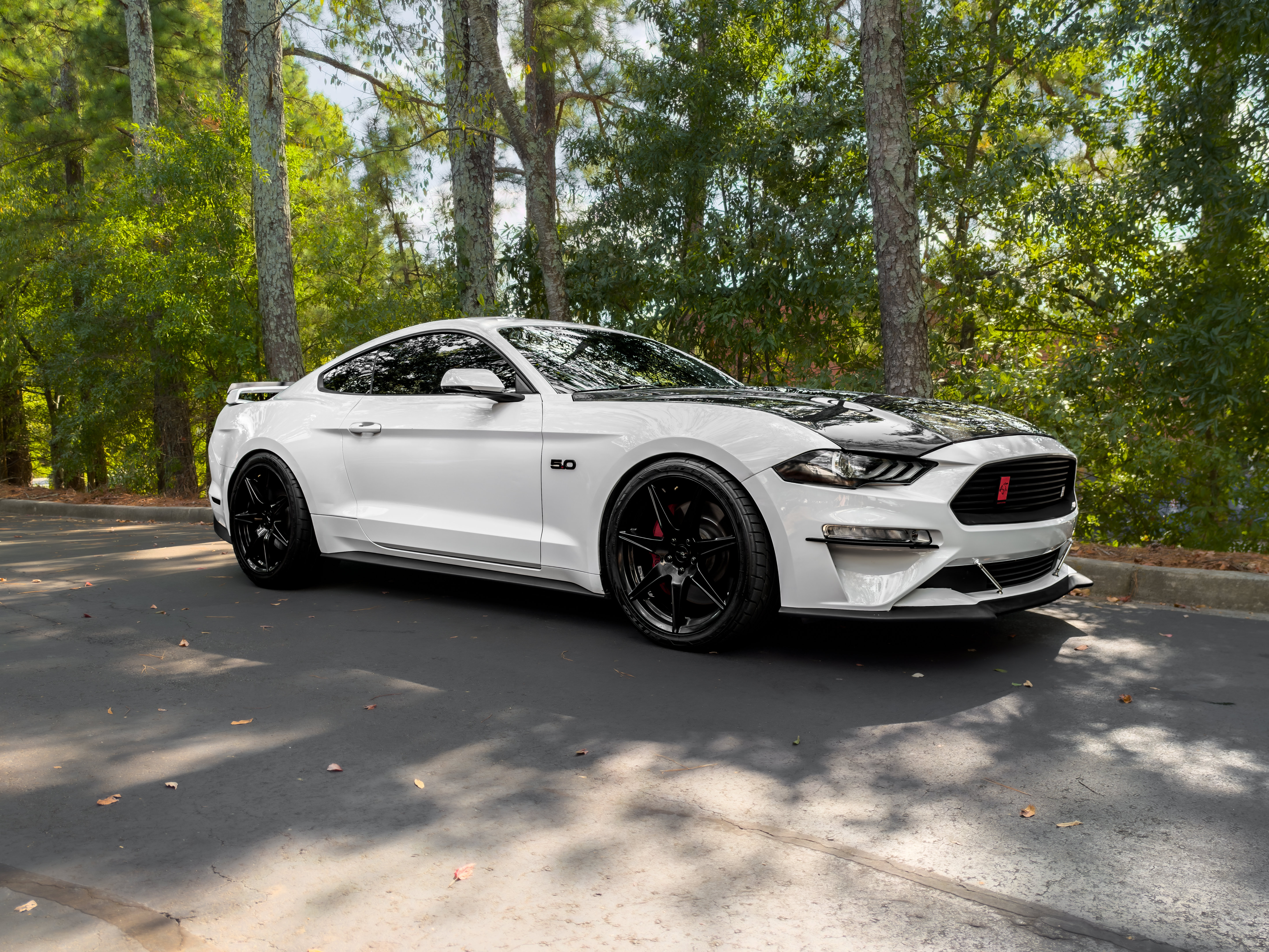 Used 2019 Ford Mustang GT Premium w/ GT Performance Package RWD image 47