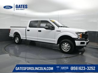 Used 2019 Ford F150 XL w/ Equipment Group 101A Mid AWD/4WD video 1