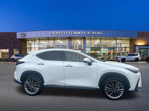 Certified 2026 Lexus NX 350h AWD w/ Cold Area Package image 24