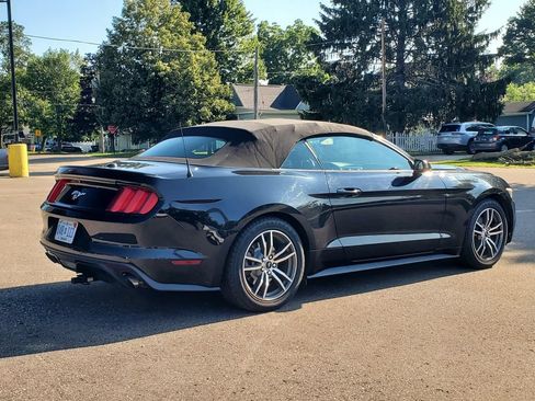 Used 2016 Ford Mustang Premium w/ Equipment Group 201A RWD image 4