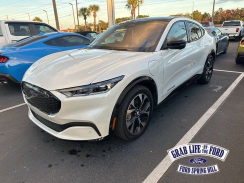 Used 2021 Ford Mustang Mach-E Premium image 1