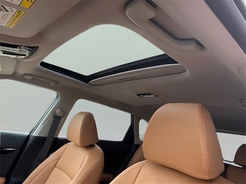 New 2025 Kia Seltos EX w/ EX Sunroof Package image 17