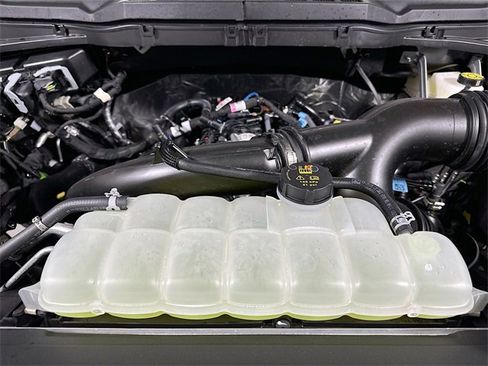 New 2025 Ford F150 XL w/ Equipment Group 103A High image 19