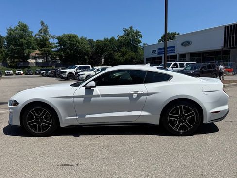 Used 2023 Ford Mustang Premium w/ Equipment Group 201A RWD image 5