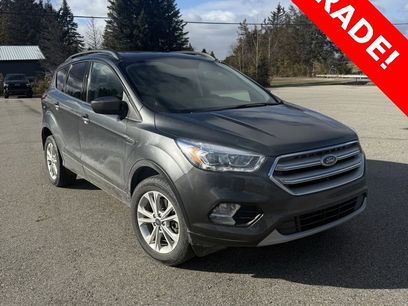 Used 2019 Ford Escape SEL