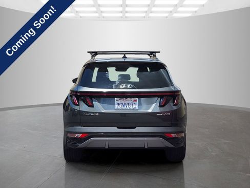 Used 2023 Hyundai Tucson Limited AWD/4WD image 6