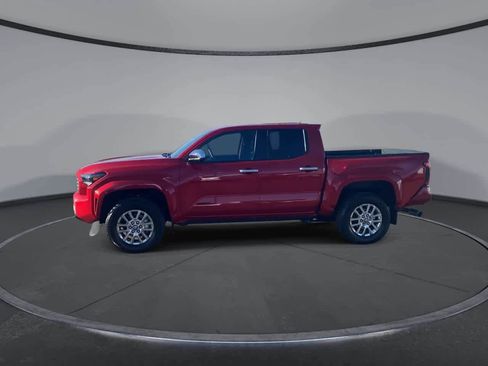 Certified 2025 Toyota Tacoma Limited w/ Tow Tech Package AWD/4WD image 5