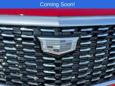 Used 2024 Cadillac XT5 Premium Luxury AWD/4WD image 11