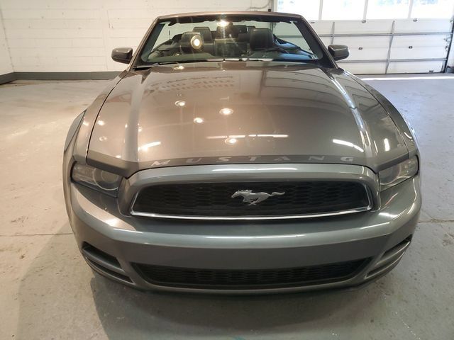 Used 2014 Ford Mustang Premium w/ Equipment Group 201A RWD image 13