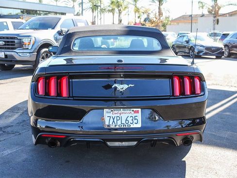 Used 2017 Ford Mustang Premium image 8
