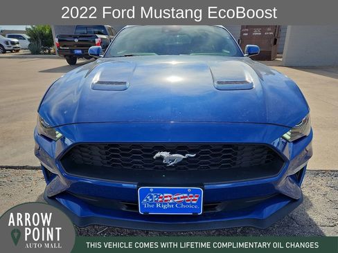 Used 2022 Ford Mustang Coupe w/ Equipment Group 101A image 3