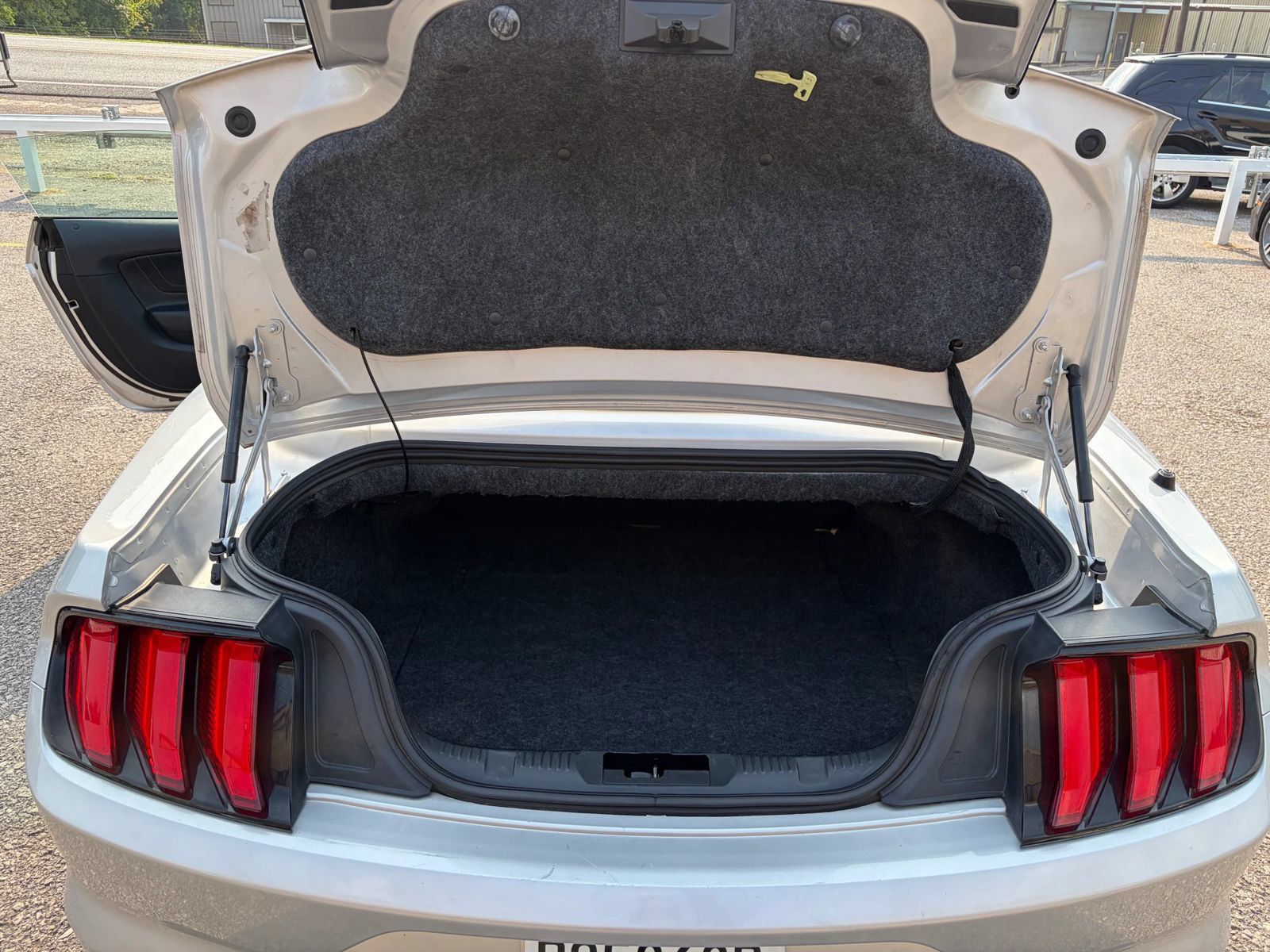 Used 2018 Ford Mustang Premium w/ Equipment Group 201A RWD image 10