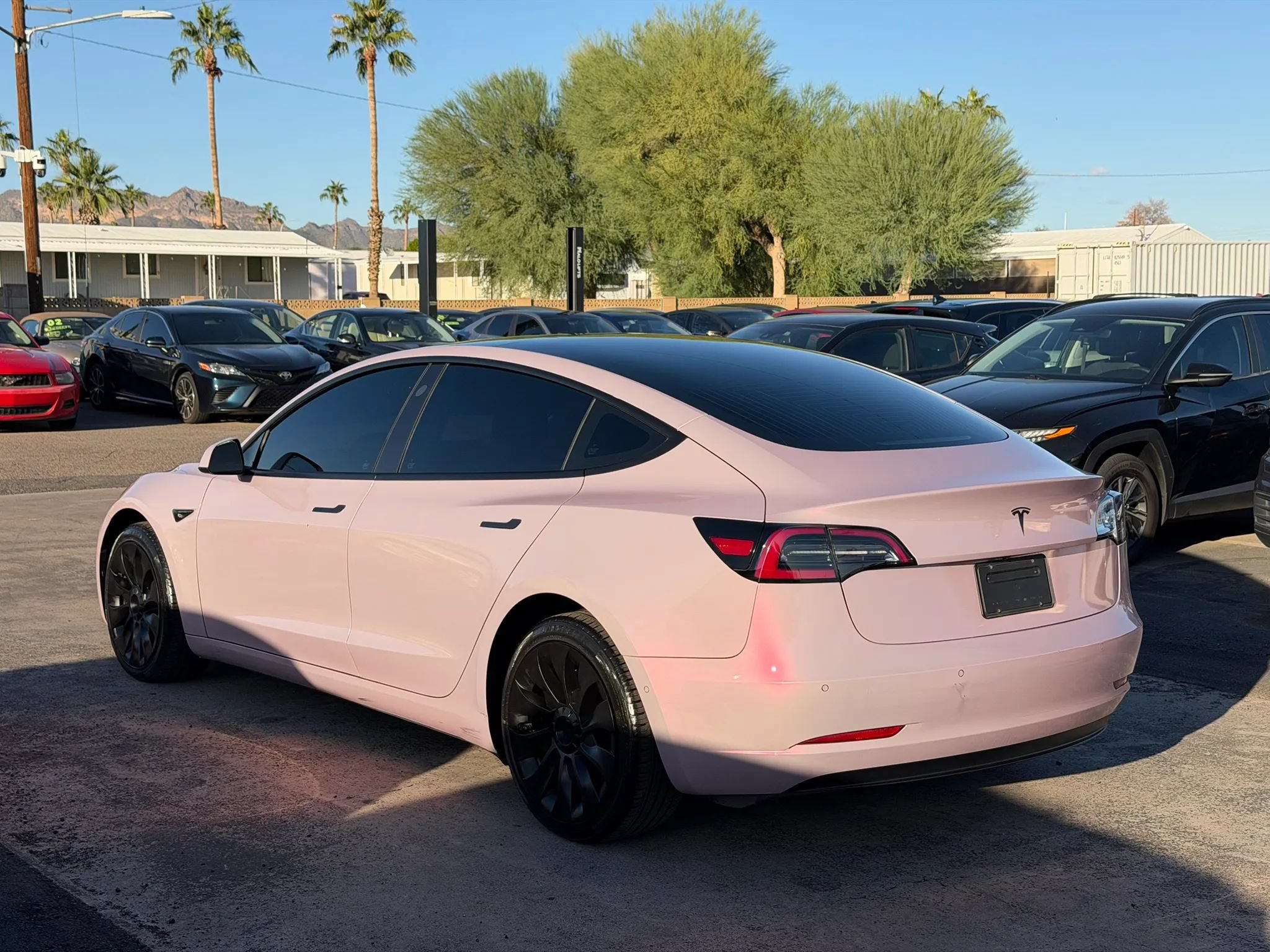 Used 2020 Tesla Model 3 Standard Range Plus RWD image 5