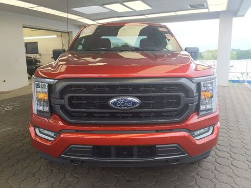 Used 2023 Ford F150 XLT w/ Equipment Group 302A High AWD/4WD image 2