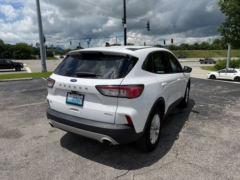 Used 2020 Ford Escape SE AWD/4WD image 3