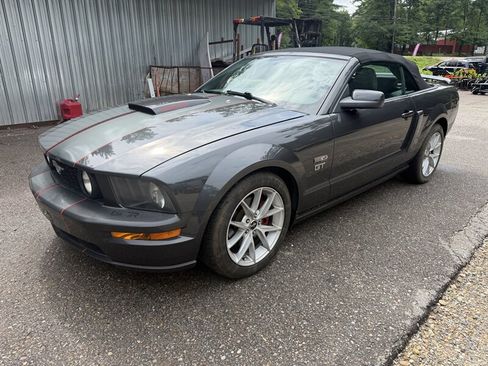 Used 2008 Ford Mustang GT Premium RWD image 1