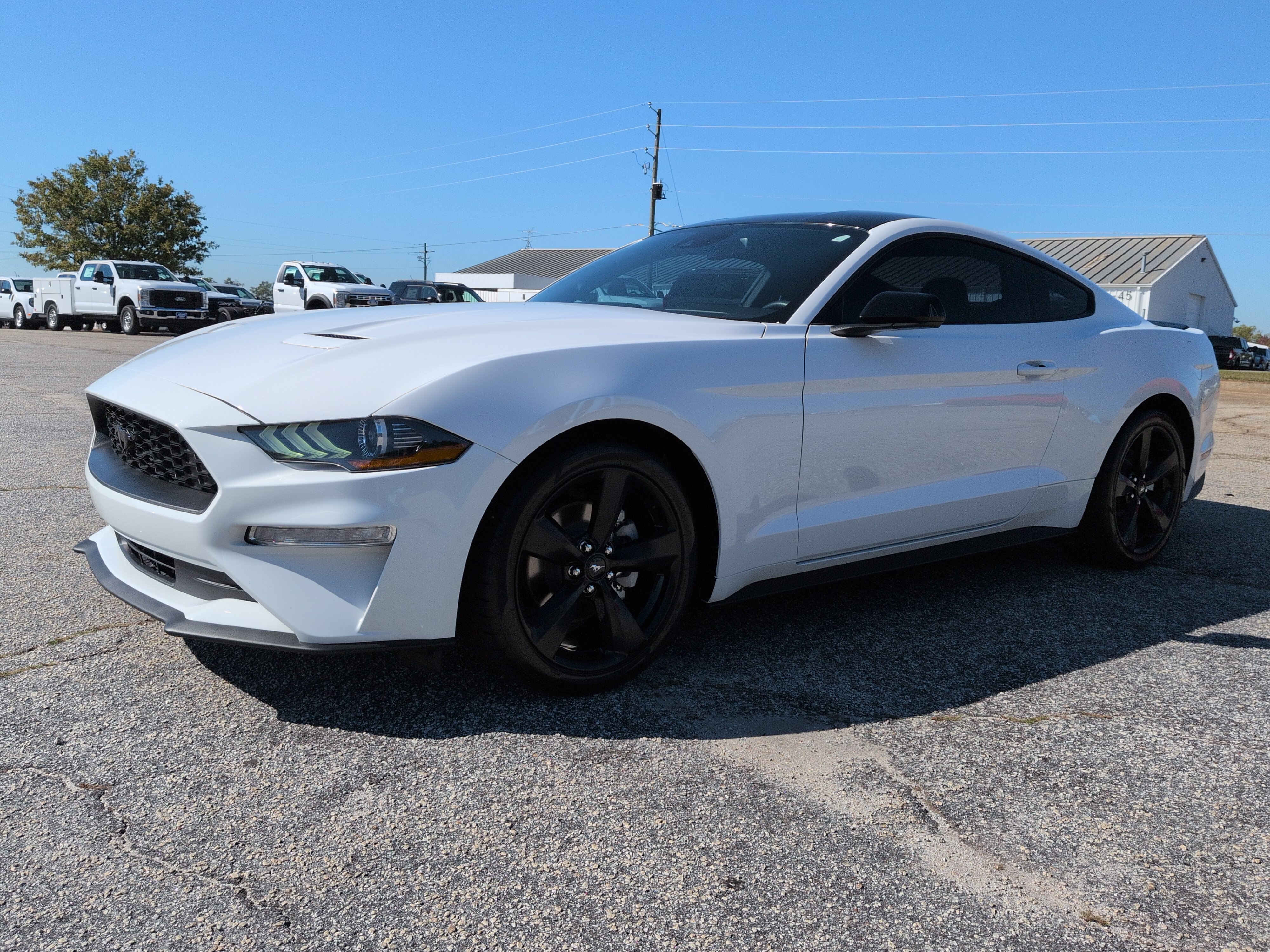 Used 2022 Ford Mustang Coupe w/ Equipment Group 101A RWD image 6