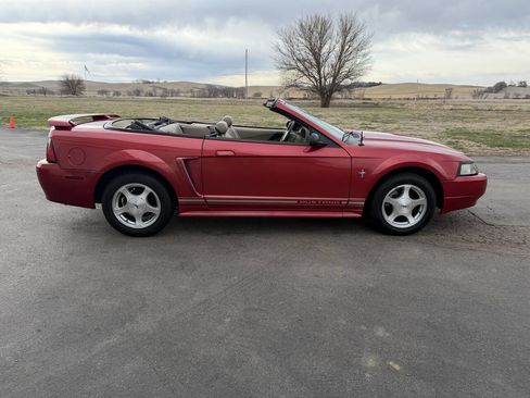 Used 2001 Ford Mustang Convertible image 4