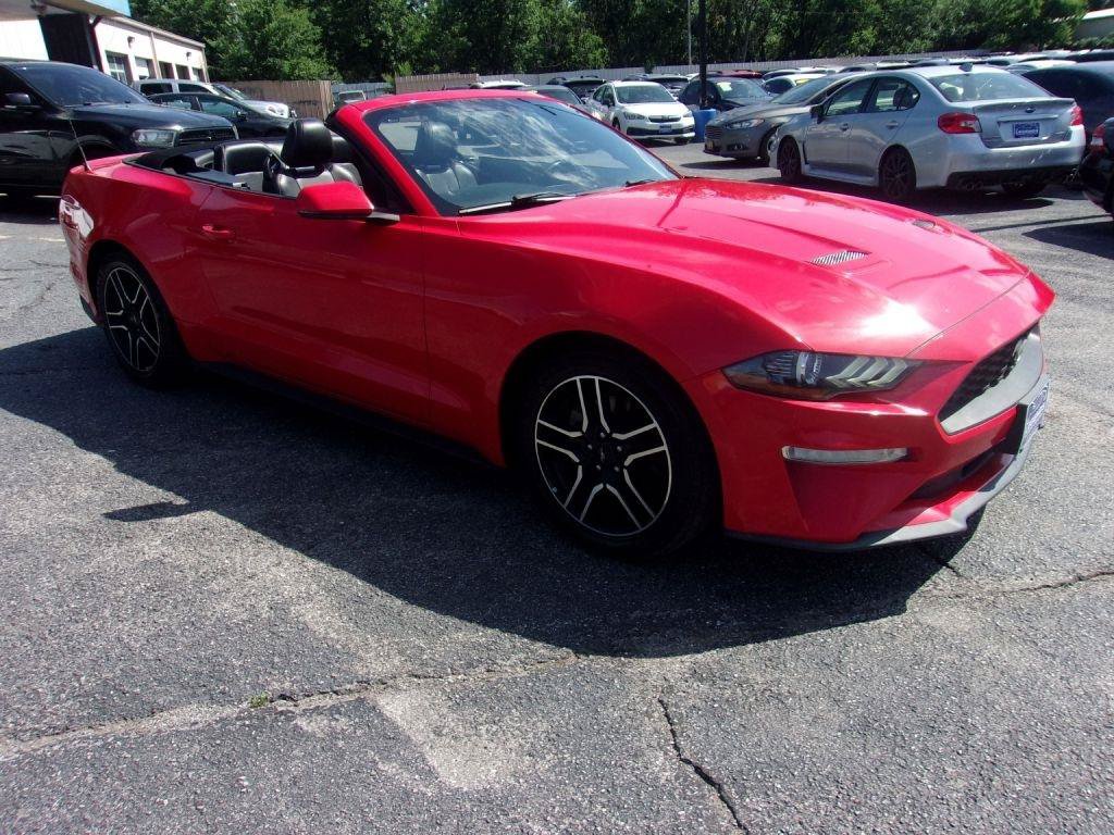 Used 2019 Ford Mustang Premium RWD image 5