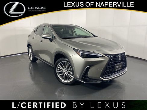 Used 2025 Lexus NX 350 AWD w/ Cold Area Package image 1