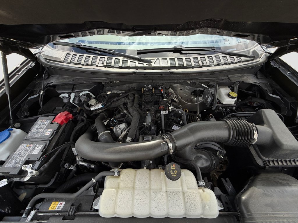 Used 2025 Ford Expedition Tremor AWD/4WD image 25