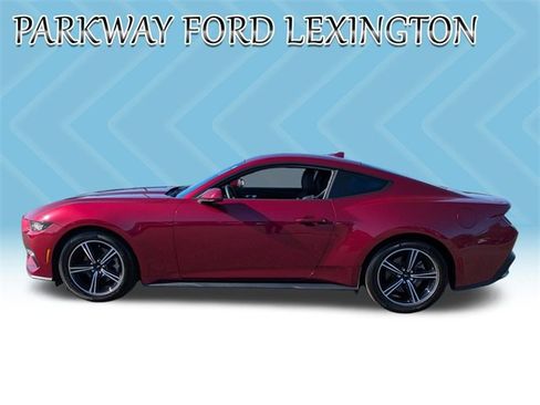 Used 2025 Ford Mustang EcoBoost image 8