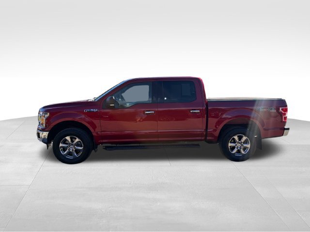 Used 2018 Ford F150 XLT w/ Equipment Group 302A Luxury AWD/4WD image 6
