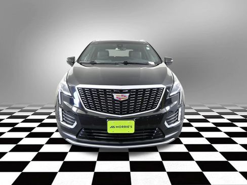 Used 2024 Cadillac XT5 Premium Luxury AWD/4WD image 12