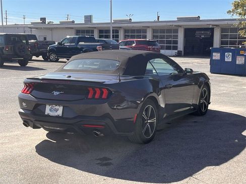 Used 2024 Ford Mustang Premium image 5