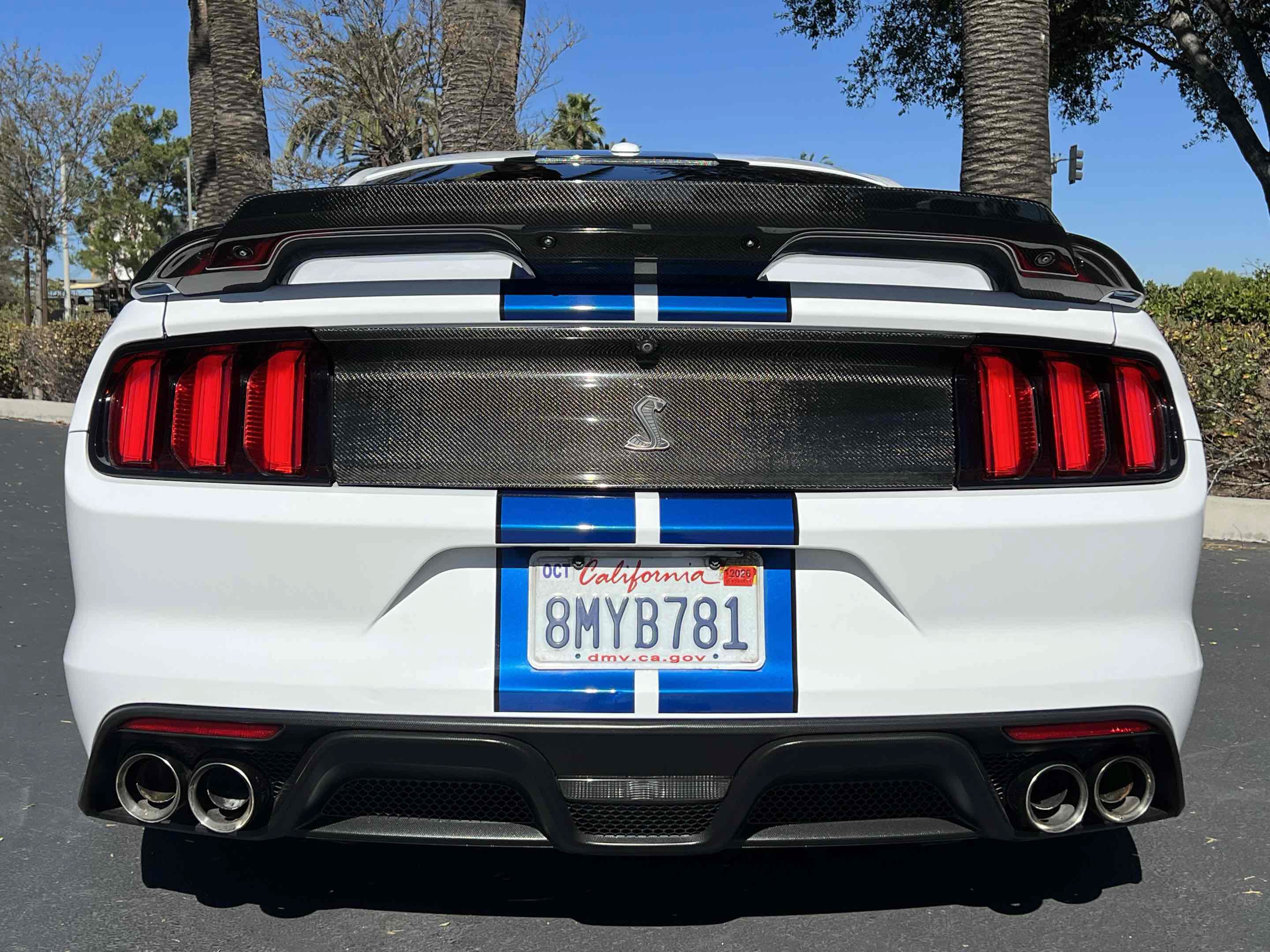 Used 2017 Ford Mustang Shelby GT350 RWD image 53
