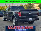Used 2010 Ford F150 FX4 image 3