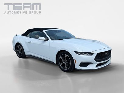 Used 2024 Ford Mustang Premium