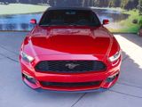 Used 2016 Ford Mustang Premium w/ Wheel & Stripe Package image 2