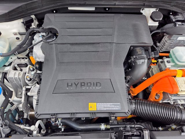 Used 2019 Hyundai Ioniq Blue FWD image 20