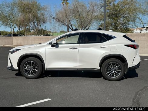 Used 2025 Lexus NX 350h AWD w/ Premium Package image 3