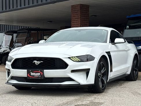 Used 2019 Ford Mustang Coupe RWD image 3