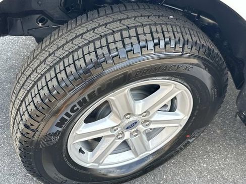 New 2025 Ford F150 XLT w/ Equipment Group 302A MID image 15