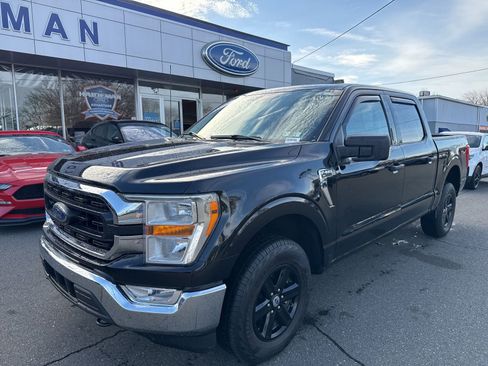 Used 2021 Ford F150 XLT w/ Equipment Group 301A Mid image 2