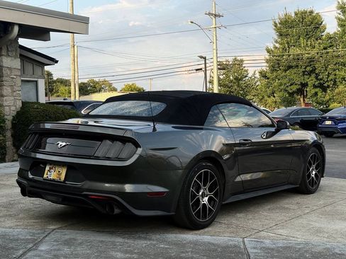 Used 2018 Ford Mustang Premium RWD image 13