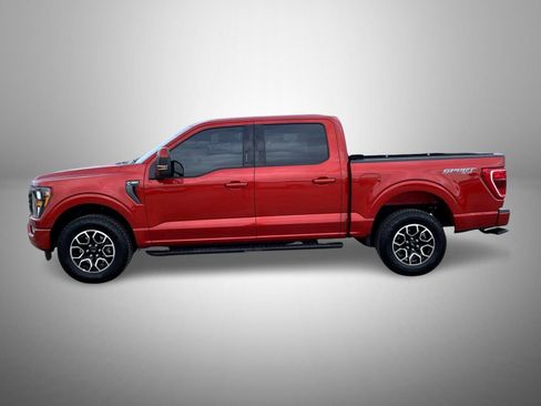 Used 2023 Ford F150 XLT w/ Equipment Group 301A Mid image 8