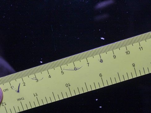 Used 2015 INFINITI Q50 2.0t w/ Moonroof Package image 27