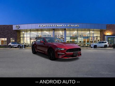 Used 2019 Ford Mustang Coupe w/ Equipment Group 101A RWD image 3