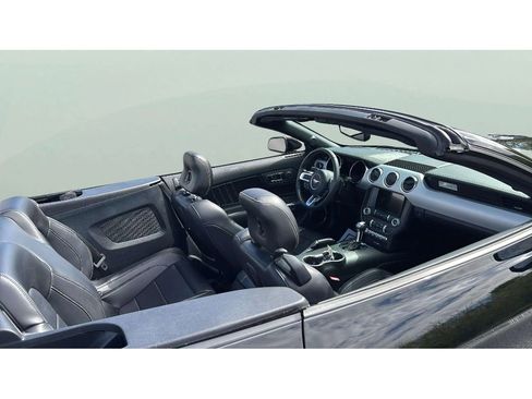 Used 2017 Ford Mustang Premium w/ Equipment Group 201A image 13